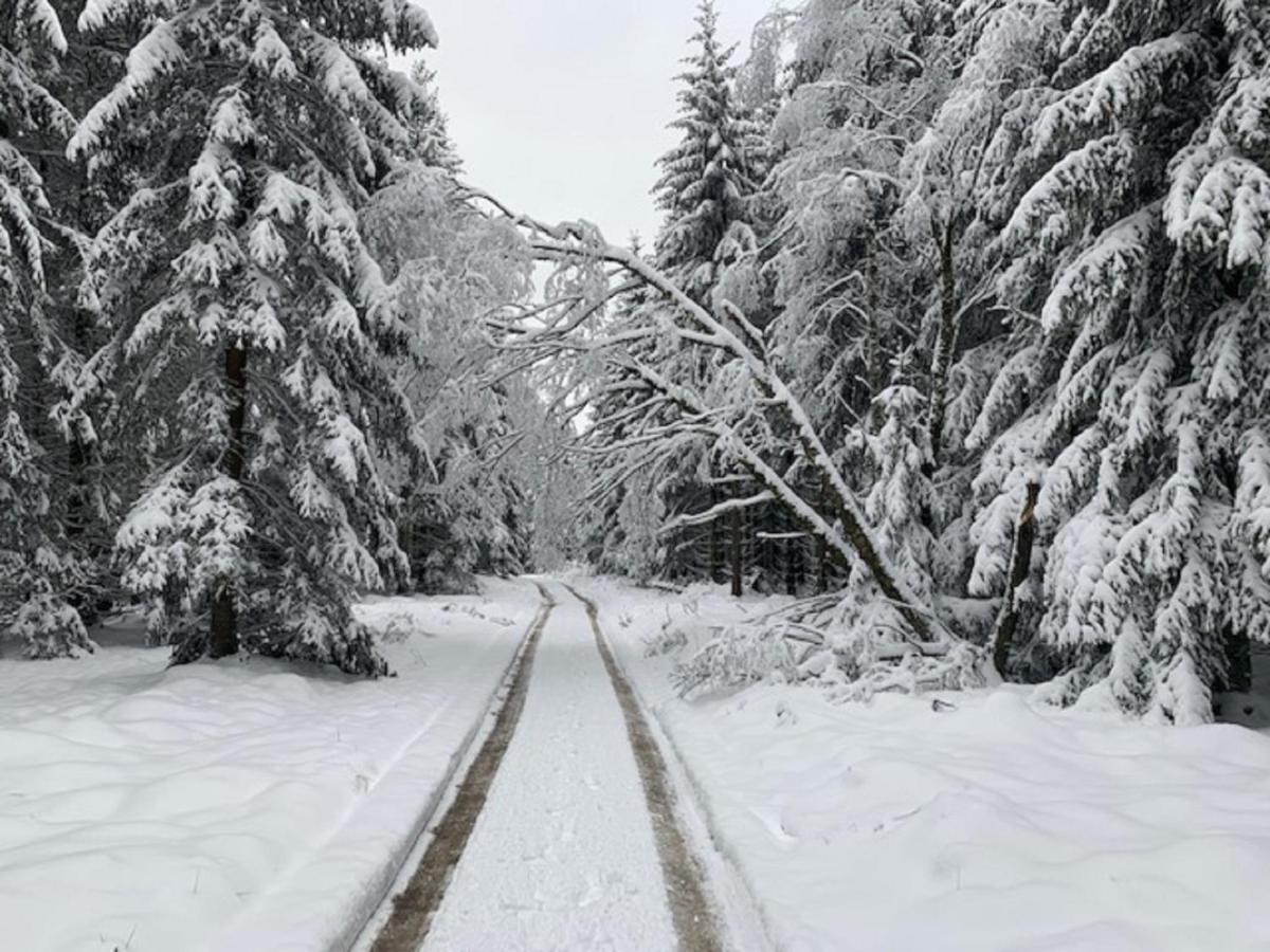 Ferienwohnung Bergstrasse Winterberg Zewnętrze zdjęcie